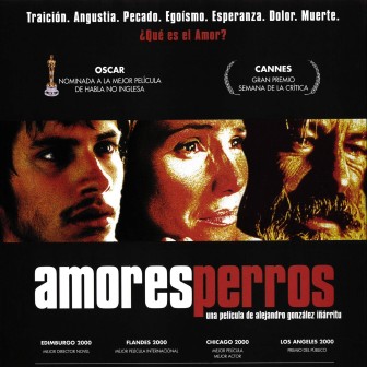 Image result for amores perros poster